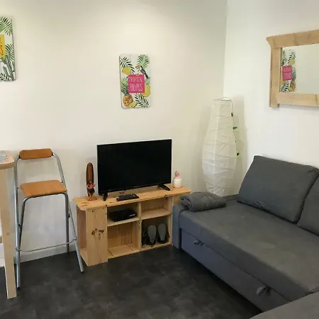 Vakantiehuis Le Panier Fleuri Lacanau